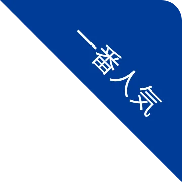 Expert check イメージイラスト